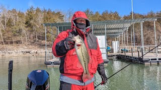 Detailed Focused Fishing Weekly video fishing report