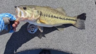 Detailed Focused Fishing Weekly Video Fishing Report