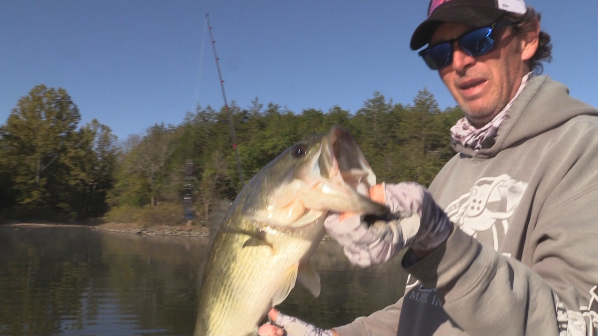 Table Rock Fishing Intel  Premiere Bass and Crappie Fishing Videos, Tips,  Tournament Info and Content for Table Rock Lake