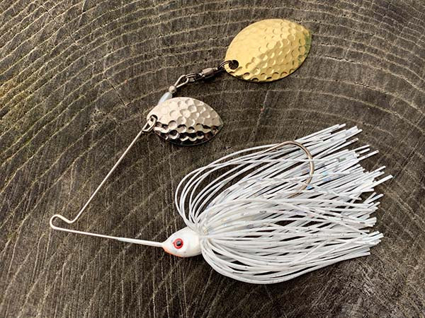 Waking a Spinnerbait