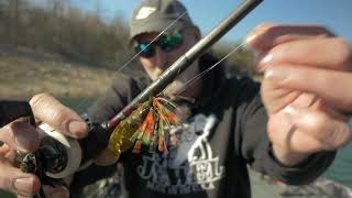 Focused Fishing Weekly video fishing report
